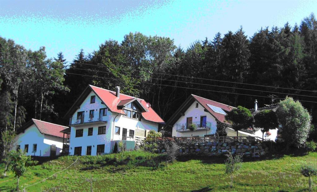 Gasthof Gruener Baum "Kongo" Amtzell Exterior photo